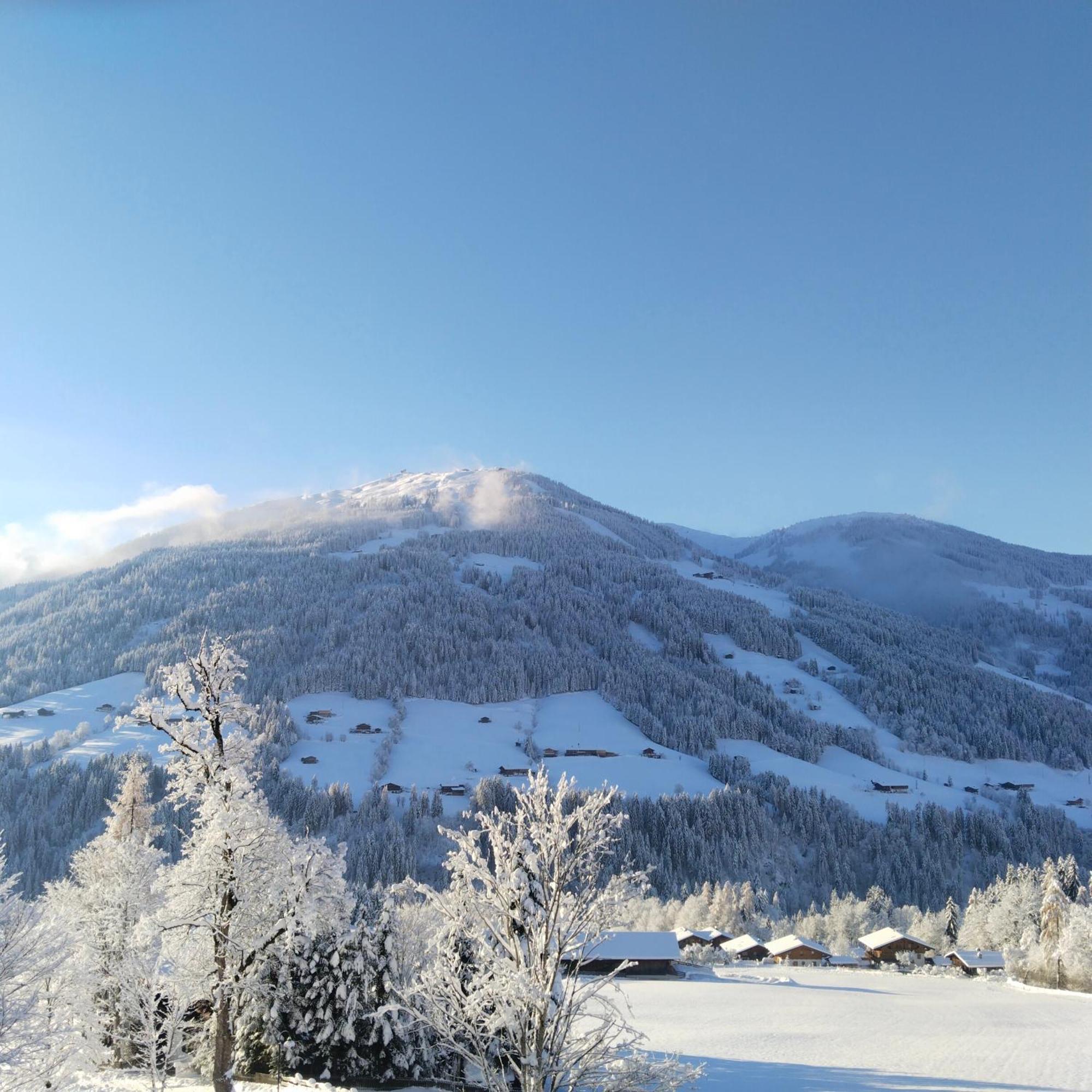 Alpbachblick Apartamento Exterior foto