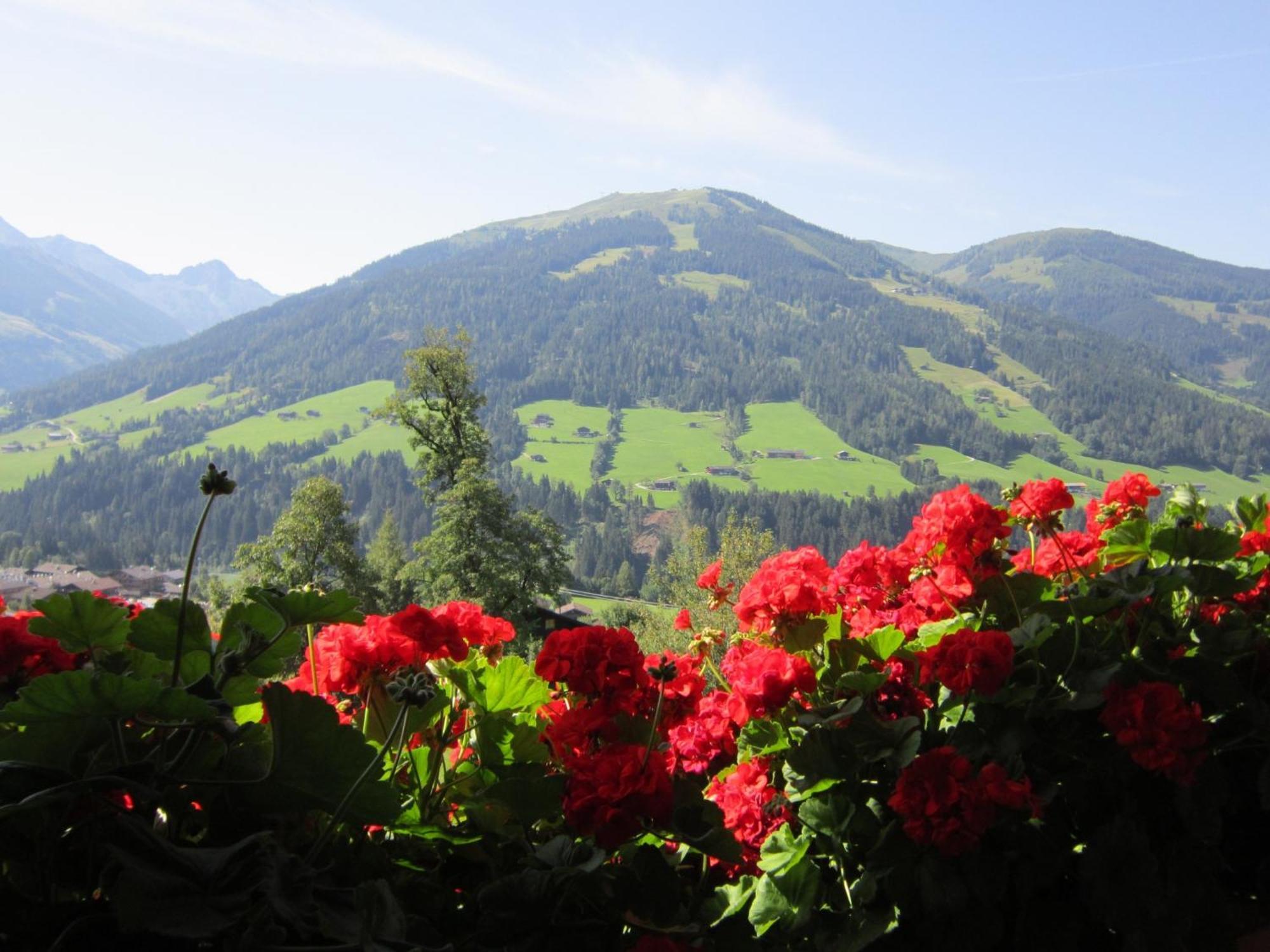 Alpbachblick Apartamento Exterior foto